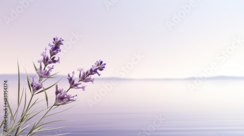  a close up of a flower near a body of water with a blurry sky in the background and a body of water in the foreground.