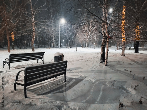 bench in the park