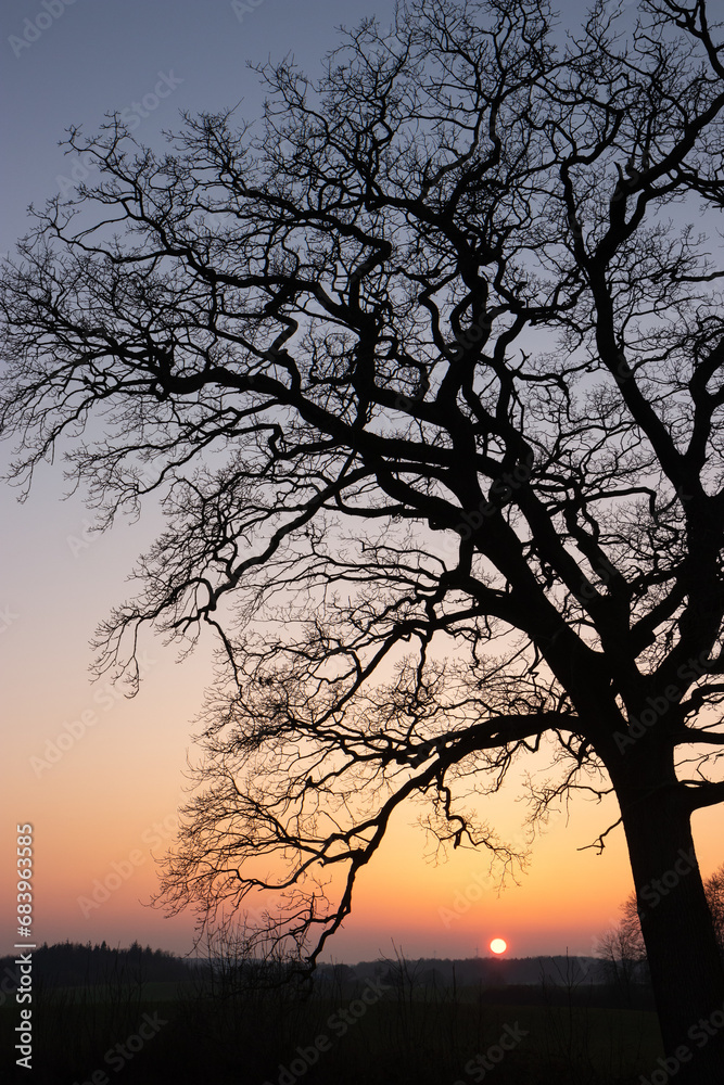  Adobe Stock Bildidee 