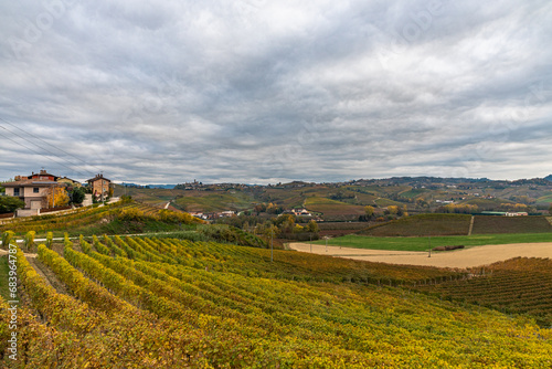 Serralunga, Barolo, Novello: tre borghi stupendi appoggiati sulle colline delle Langhe photo