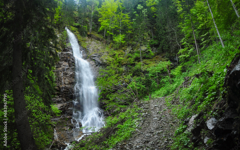 Scorusu waterfall flowing out of the spruce forest on a mossy vertical cliff. Capatanii Mountains, Carpathians, Romania. Scorusu waterfall flowing out of the spruce forest on a mossy vertical cliff. Capatanii Mountains, Carpathians, Romania.