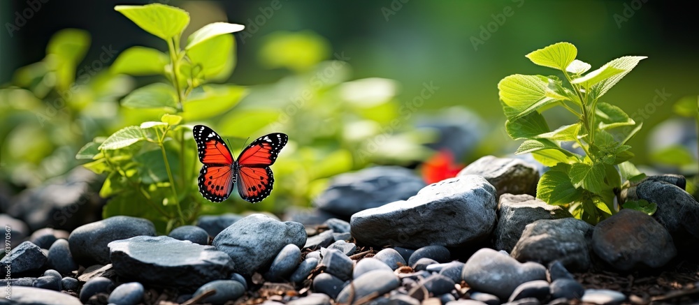 In the summer, amidst an isolated white background, nature comes alive ...