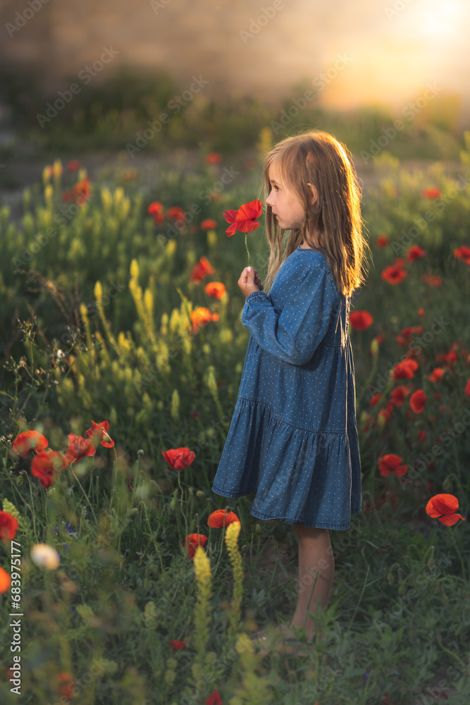 little girl in blue dress on sunset ni poppy seed red flowers green grass summer field bloom cute alone