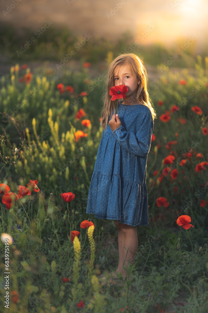 little girl in blue dress on sunset ni poppy seed red flowers green grass summer field bloom cute alone