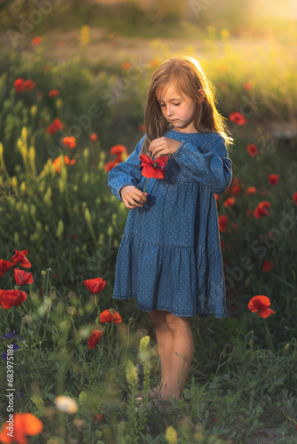 Obraz na płótnie little girl in blue dress on sunset ni poppy seed red flowers green grass summer field bloom cute alone w salonie