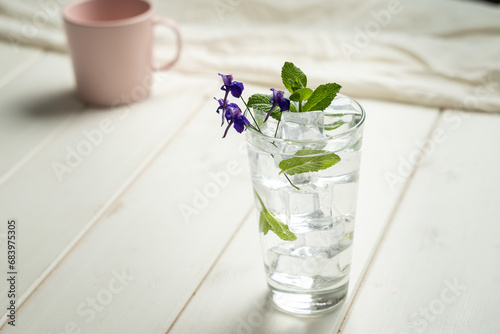 Obraz na płótnie simple refreshing mint water lime drink w salonie
