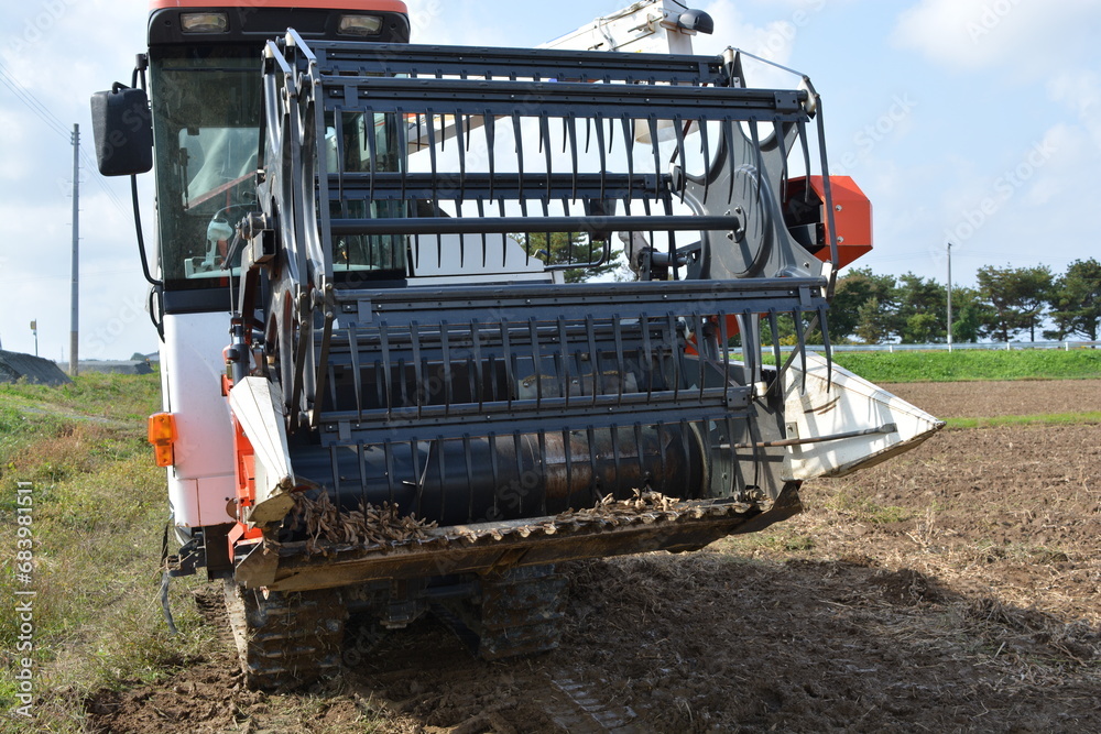 Fototapeta premium 大豆の収穫 コンバイン