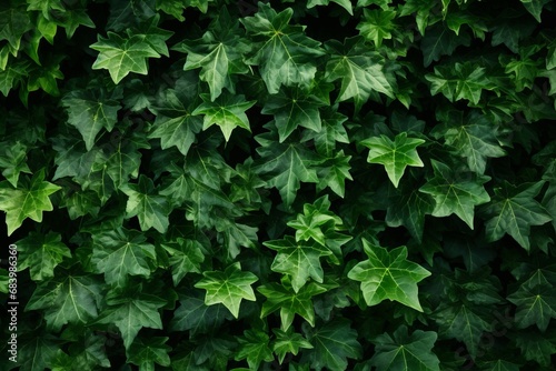 Discover the Aesthetic Charm of Ivy Leaves: Unleash the Magic of Nature's Patterns in HD Generative AI