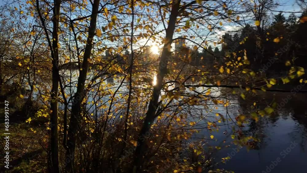 View of Lost Lagoon in famous Stanley Park. Sunny Fall Morning. Modern city View of Lost Lagoon in famous Stanley Park. Sunny Fall Morning. Modern city