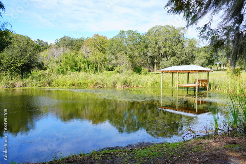 Middle lake park at Wesley Chapel, close to Tampa in Florida