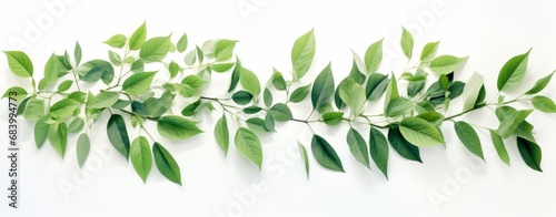 Vivid Beauty: Stunning Isolation of Fresh Green Leaves on a White Background Generative AI