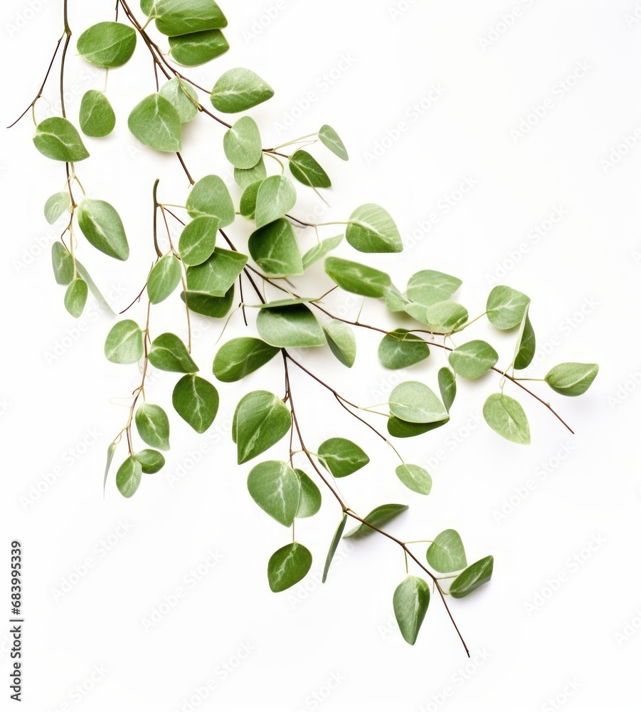 Experience the Festive Spirit with Pristine Mistletoe Leaves – The Perfect Christmas Background! Generative AI