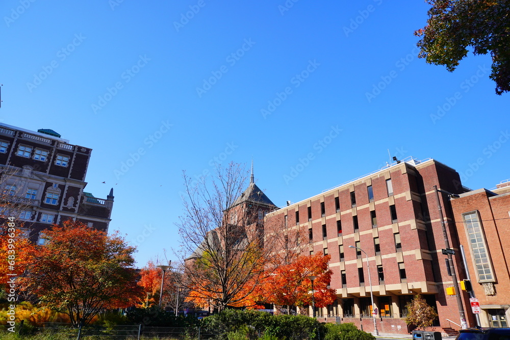 Naklejka premium University of Pennsylvania Fall colorful foliage autumn landscape 
