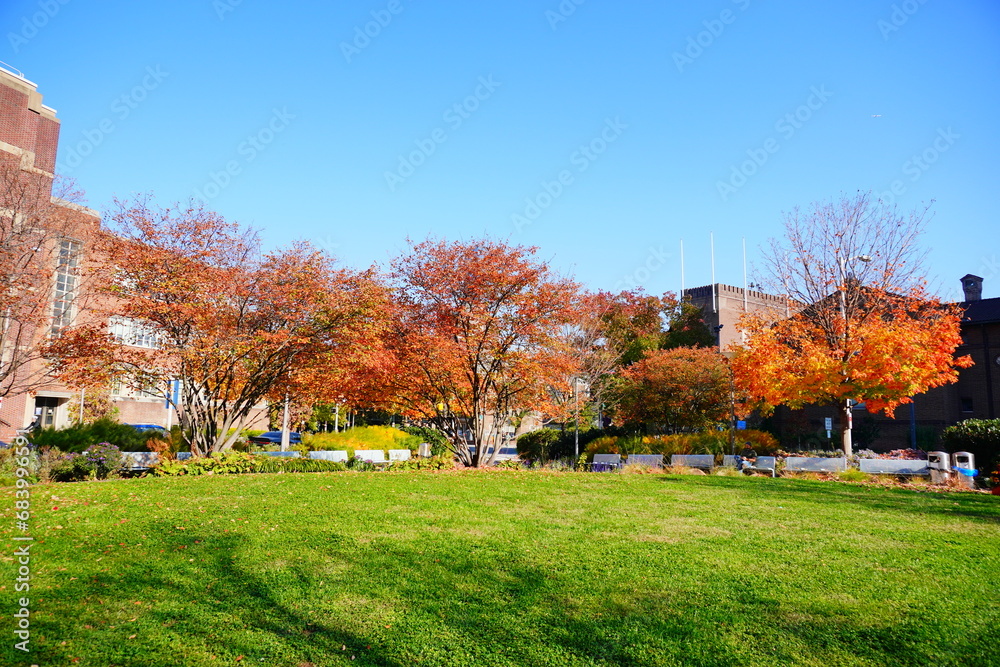 University of Pennsylvania Fall colorful foliage autumn landscape	

