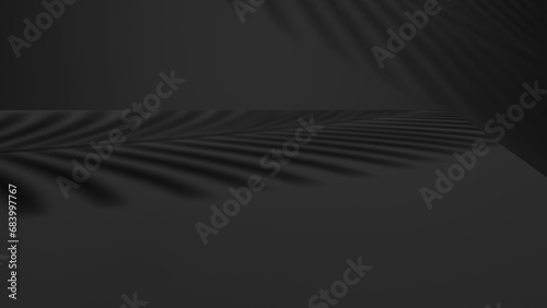3d render mockup podium stand table shelf. Black white abstract background. Palm tree leaf shadow. Nature. Dark gray. Design beauty product cosmetics. Wall stage room studio.