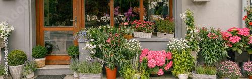 Facade of beautiful flower shop with different housplants and flowers . High quality photo