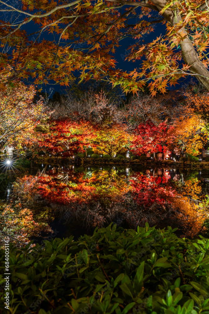 東寺の紅葉