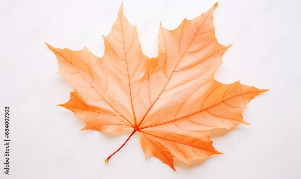 Obraz premium Unveiling Autumn's Elegance: A Solitary Maple Leaf's Fall - The Ultimate Expression of Transience Generative AI