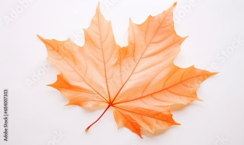 Unveiling Autumn s Elegance  A Solitary Maple Leaf s Fall - The Ultimate Expression of Transience Generative AI