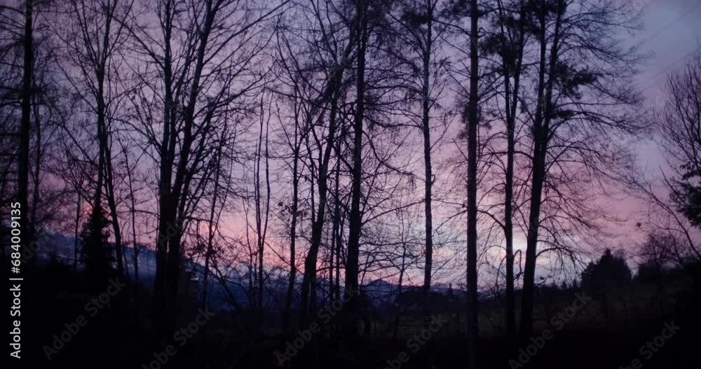 silhouette of a winter tree line against a colorful sunset sky silhouette of a winter tree line against a colorful sunset sky