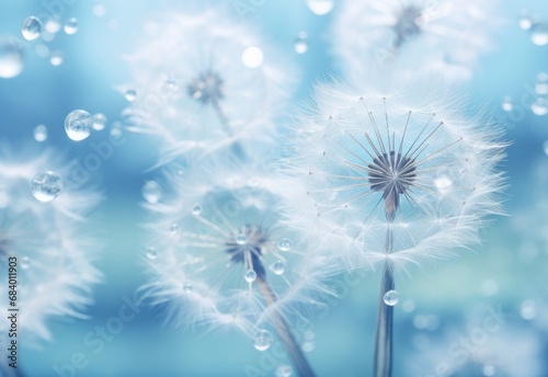 Enchanting Close-up  Dew-Kissed Dandelion Feathers Against a Crisp Blue Backdrop Generative AI