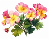 Exquisite Pink Geraniums: Unveiling Beauty through Yellow-Tipped Blooms & Lush Leaves Generative AI