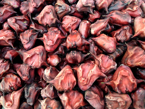Water chestnut stock on shop (trapa natans fruits). It grows at end of plant stem in water. Red cover, the eatable fruit inside is white. photo