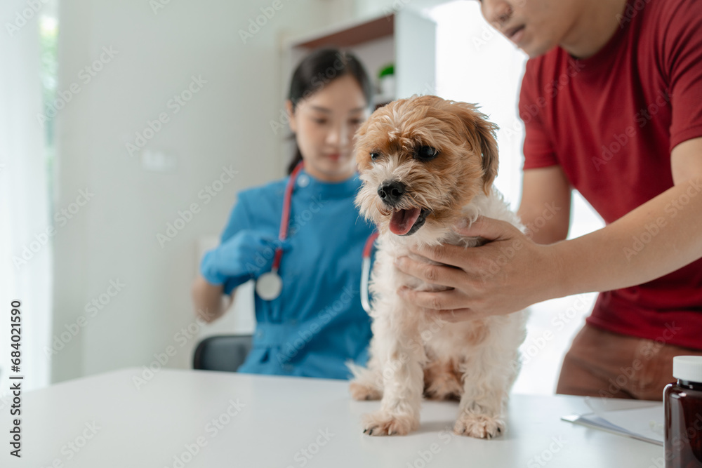 The dog's owner took the dog to the hospital to be examined by a veterinarian for the cause of his illness, There was a dog on the table and was thoroughly examined by the vet. The dog's owner took the dog to the hospital to be examined by a veterinarian for the cause of his illness, There was a dog on the table and was thoroughly examined by the vet.