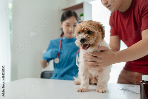 The dog's owner took the dog to the hospital to be examined by a veterinarian for the cause of his illness, There was a dog on the table and was thoroughly examined by the vet.