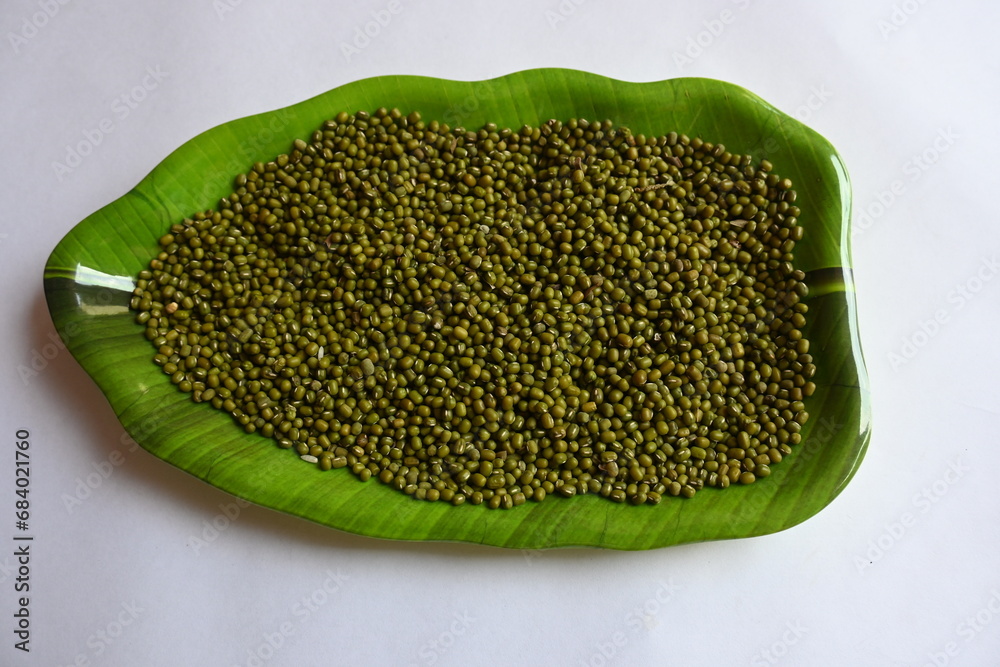 Mung bean. It's other names Vigna radiata, green gram, maash, mung