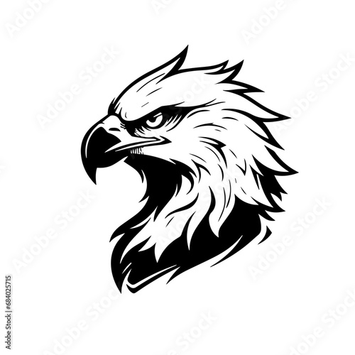Fototapeta Naklejka Na Ścianę i Meble -  Angry Eagle Mascot