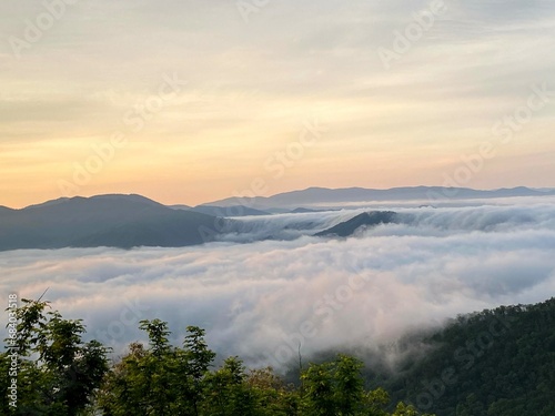 Canvas Print fog over the mountains