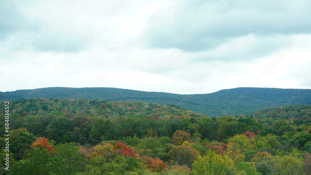 The colorful and beautiful leaves on the trees in autumn
