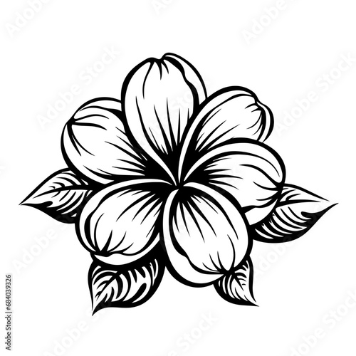 Frangipani Flower Design