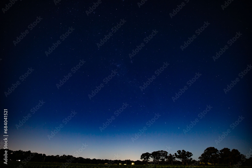 Starry Night Over Countryside with Eucalyptus Silhouette, A Celestial Experience in Nature