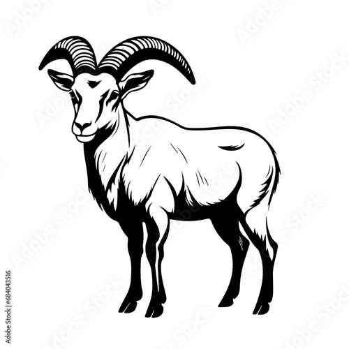 Ibex