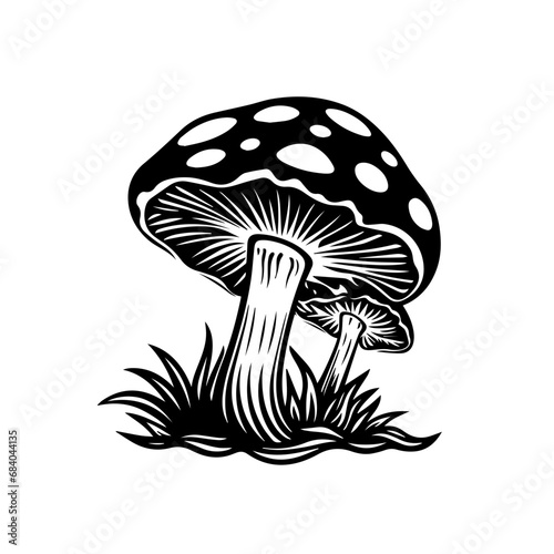 Japanese Mushroom
