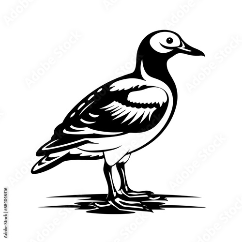 Magpie Goose