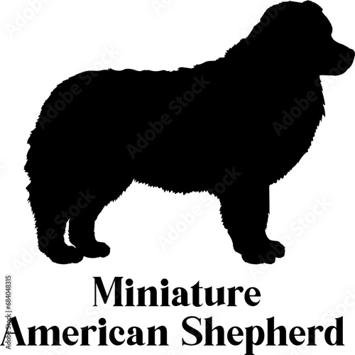 Miniature American Shepherd Dog silhouette dog breeds logo dog monogram logo dog face vector