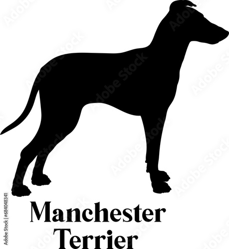 Manchester Terrier. Dog silhouette dog breeds logo dog monogram logo dog face vector