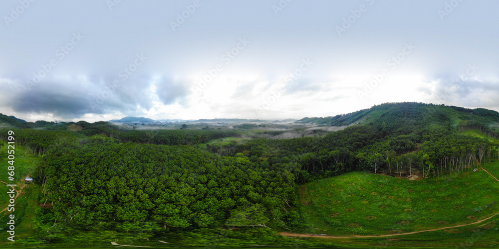 Aerial view green tropical rainforest with morning sunrise