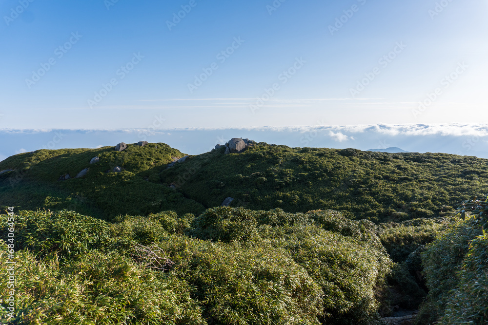 Trail between Nagatadake and Shin Takatsuka Hut in Yakushima Trail between Nagatadake and Shin Takatsuka Hut in Yakushima