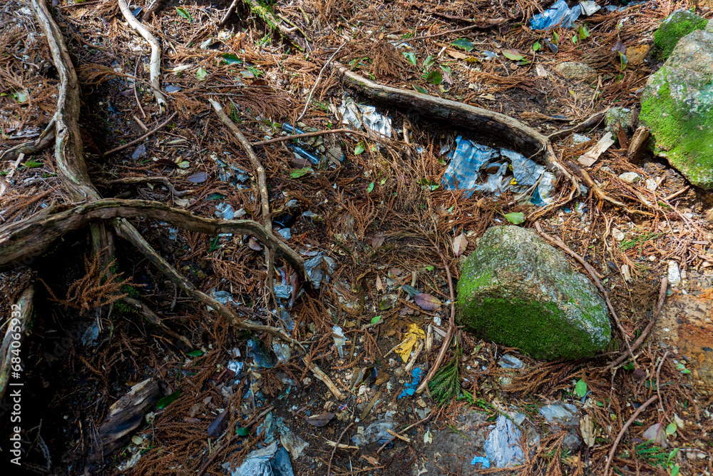 Εκτύπωση καμβά Trail from Shin Takatsuka Hut to Takatsuka Hut in Yakushima