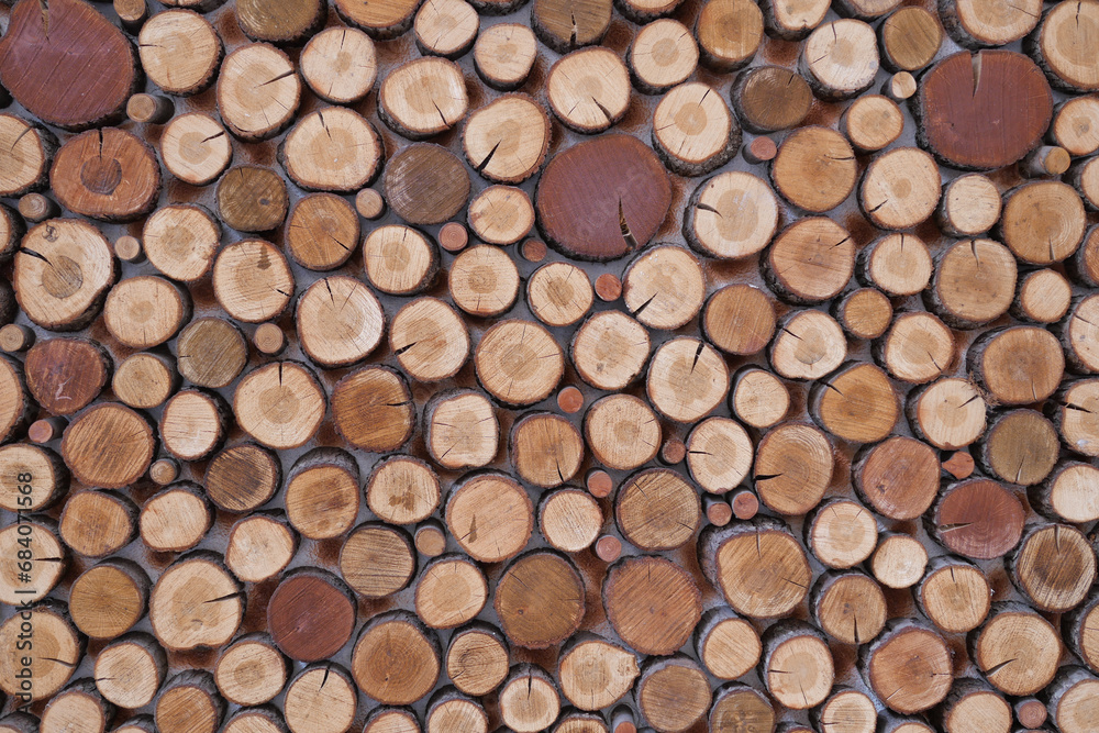 Background of tree stumps, natural wood background Background of tree stumps, natural wood background