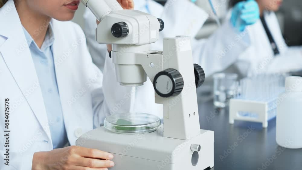 Multinational researcher group experimenting in the lab. Research and Development. Multinational researcher group experimenting in the lab. Research and Development.