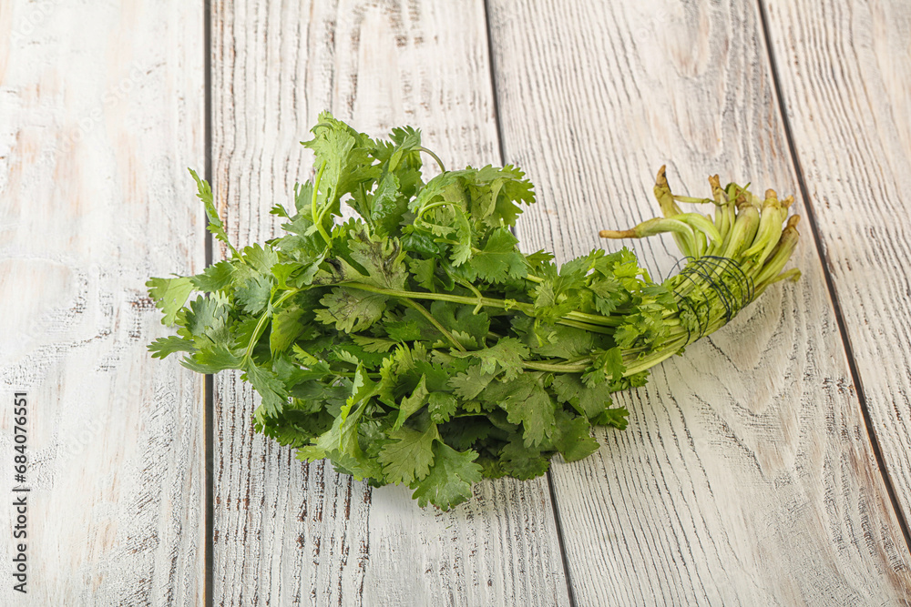 Green coriander leaves herb heap