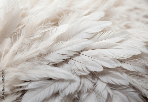 Serene Elegance. Aesthetic White Feathers Background for Peace and Spirituality