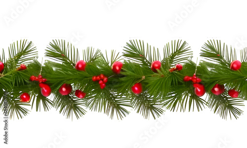 christmas tree branches with red berries and white background 