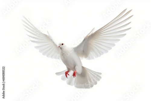white dove isolated on white background, Generative AI © Visual Horizons