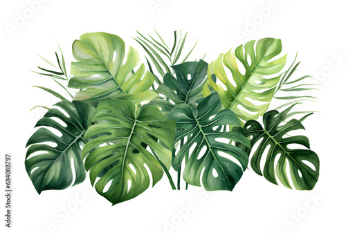 watercolor vector Set of tropical leaves. Variety. Ornamental plants. Banana leaves. Transparent background